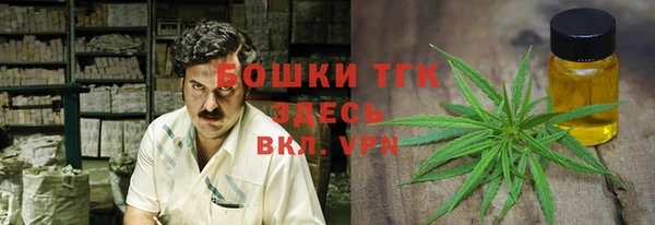 гашик Семилуки