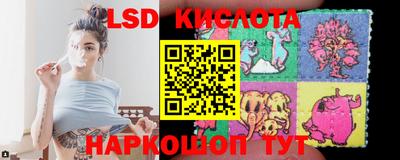 стафф Берёзовский