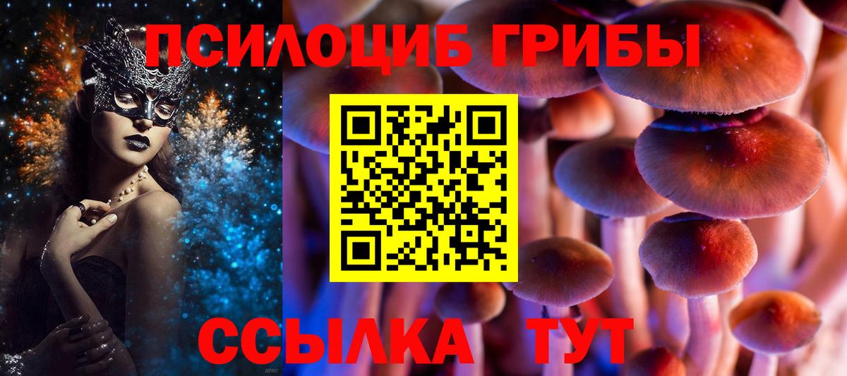 Губаха  Псилоцибиновые грибы GOLDEN TEACHER  наркотики  Вход с VPN 