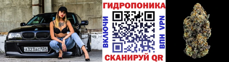 Бошки марихуана Bruce Banner  MEGA   Губаха 